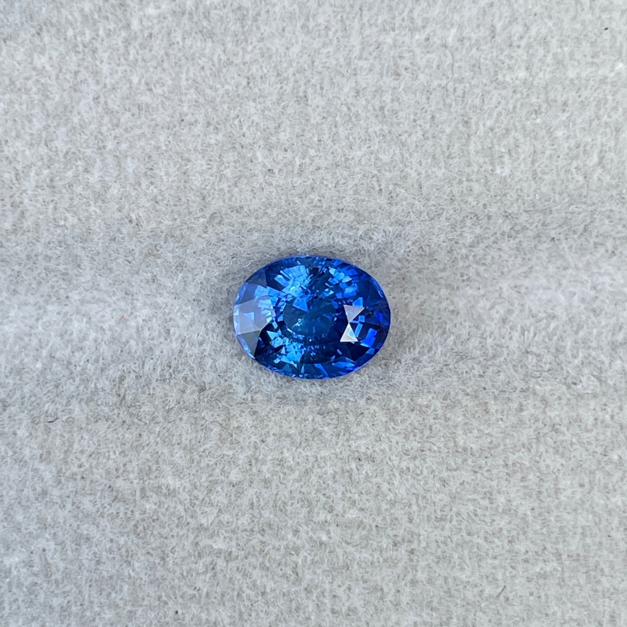 Loose Ceylon sapphires in vibrant blue on a white display tray
