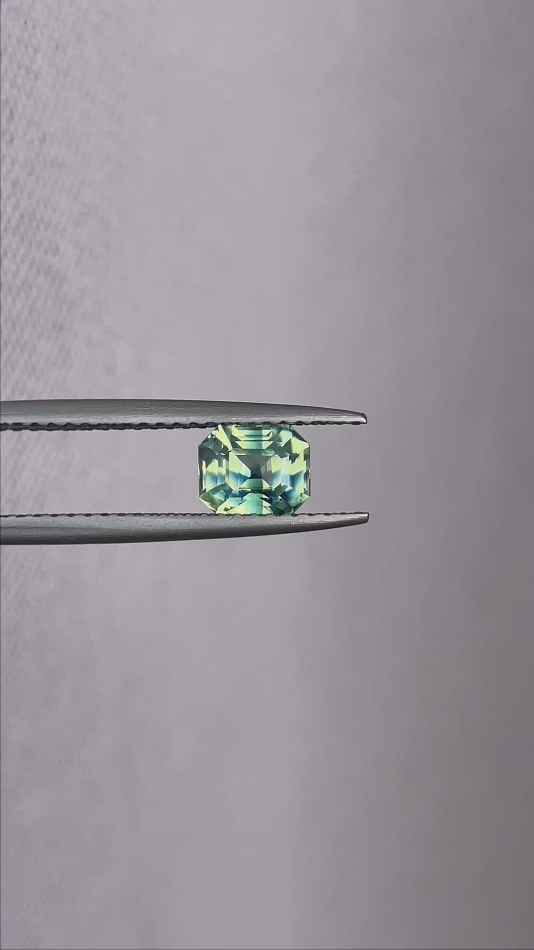 bi coloured parti sapphire