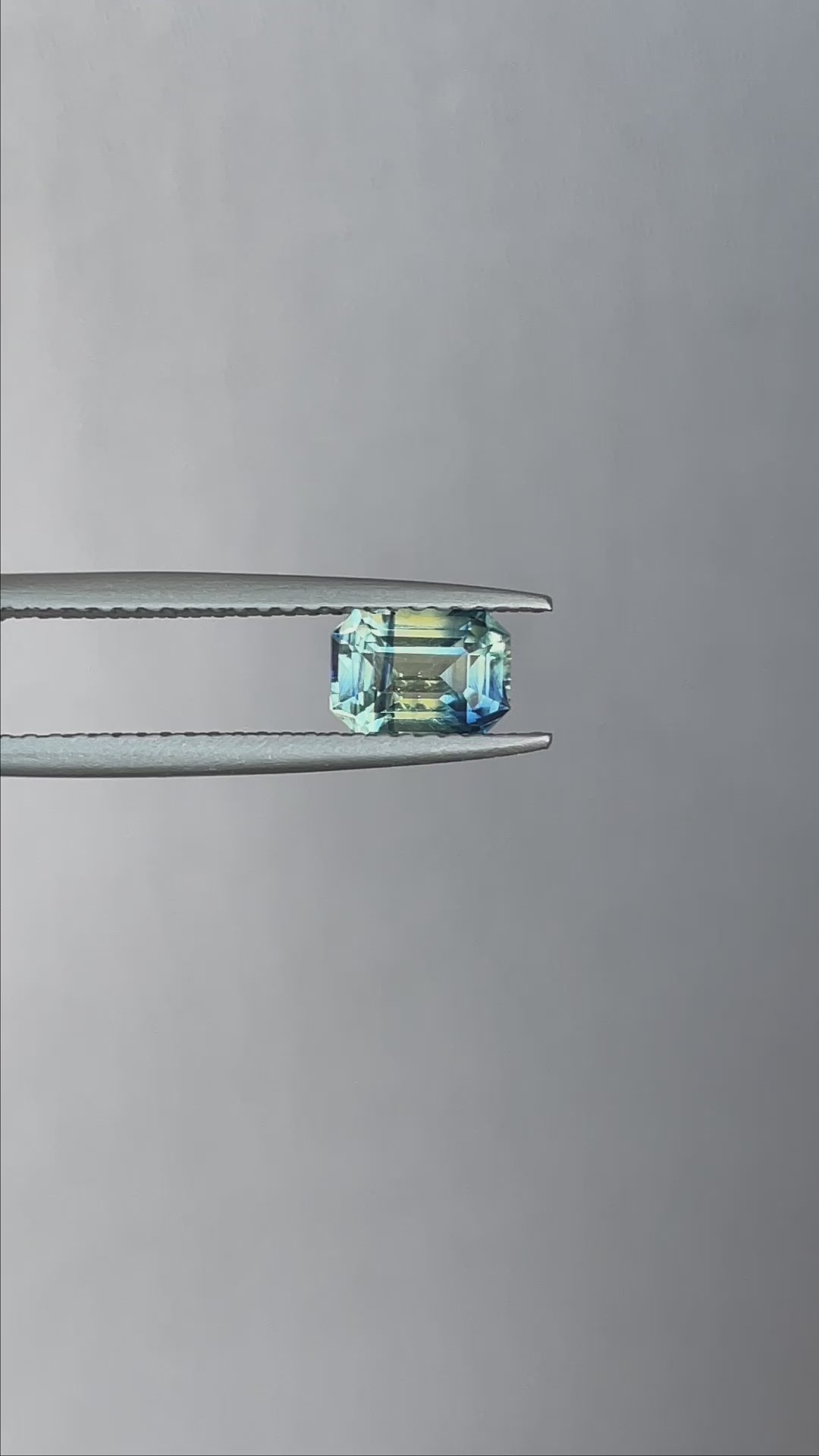 bi coloured parti sapphire