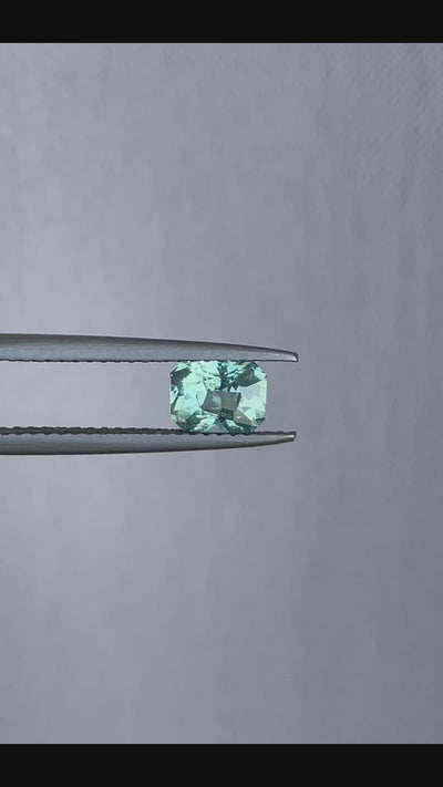 parti sapphire